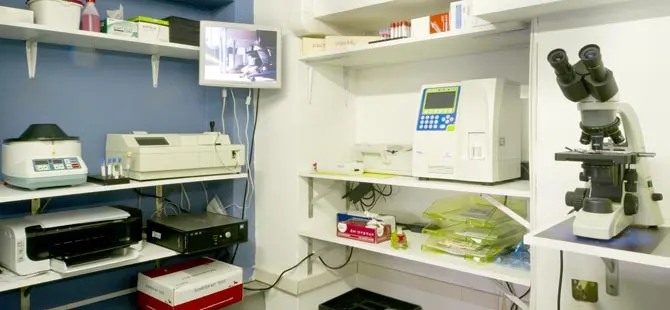 Il laboratorio con il microscopio